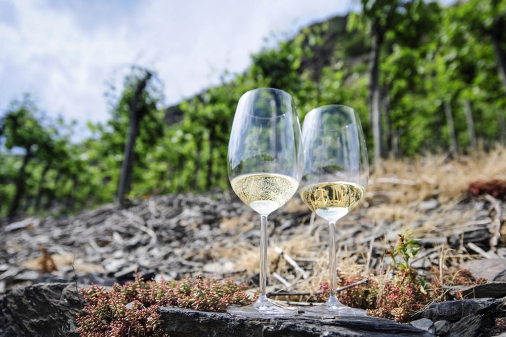 Haus Alte Rebe & Weisse Traube Appartamento Cochem Esterno foto