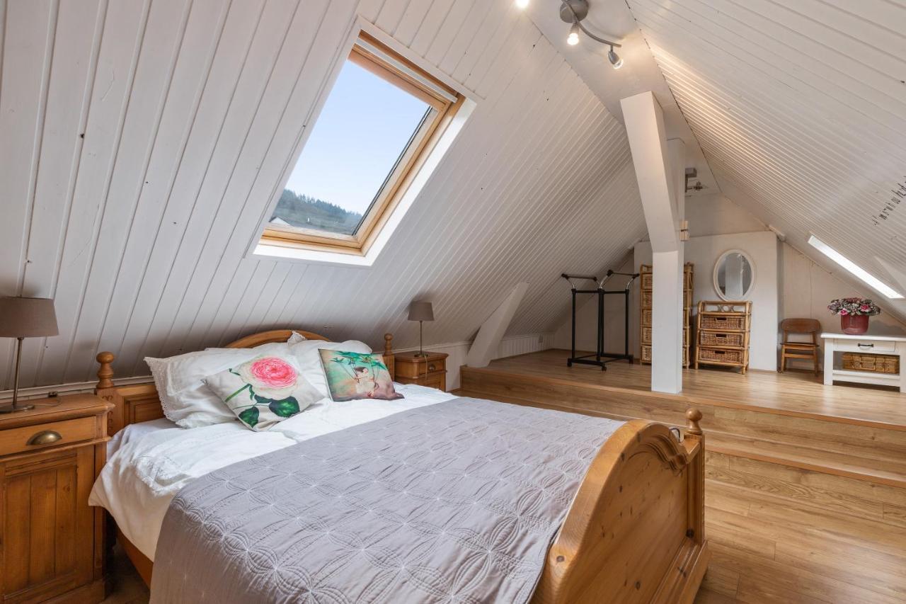 Haus Alte Rebe & Weisse Traube Appartamento Cochem Esterno foto